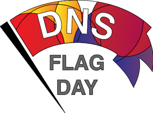 DNS flag day logo.svg